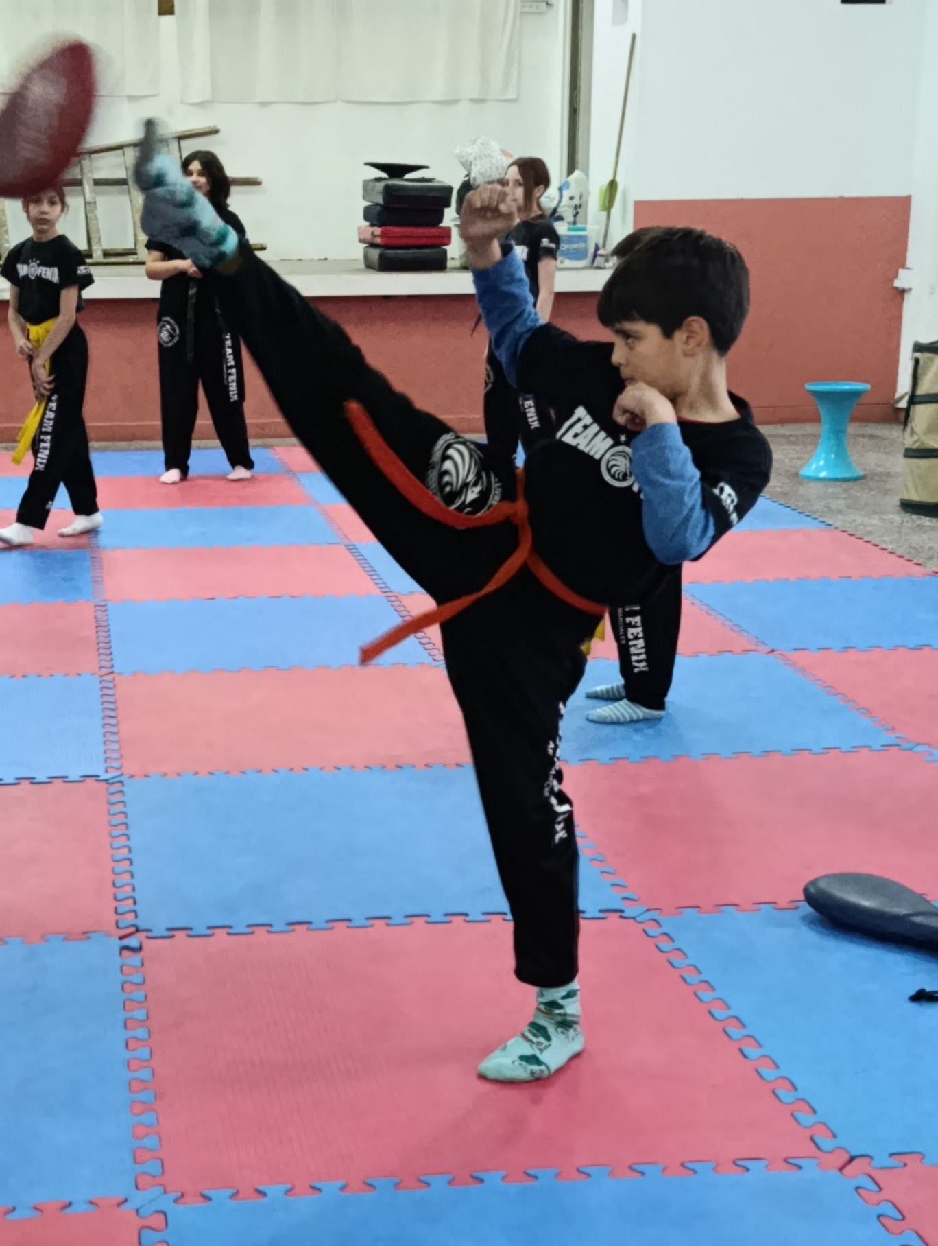 Taekwondo